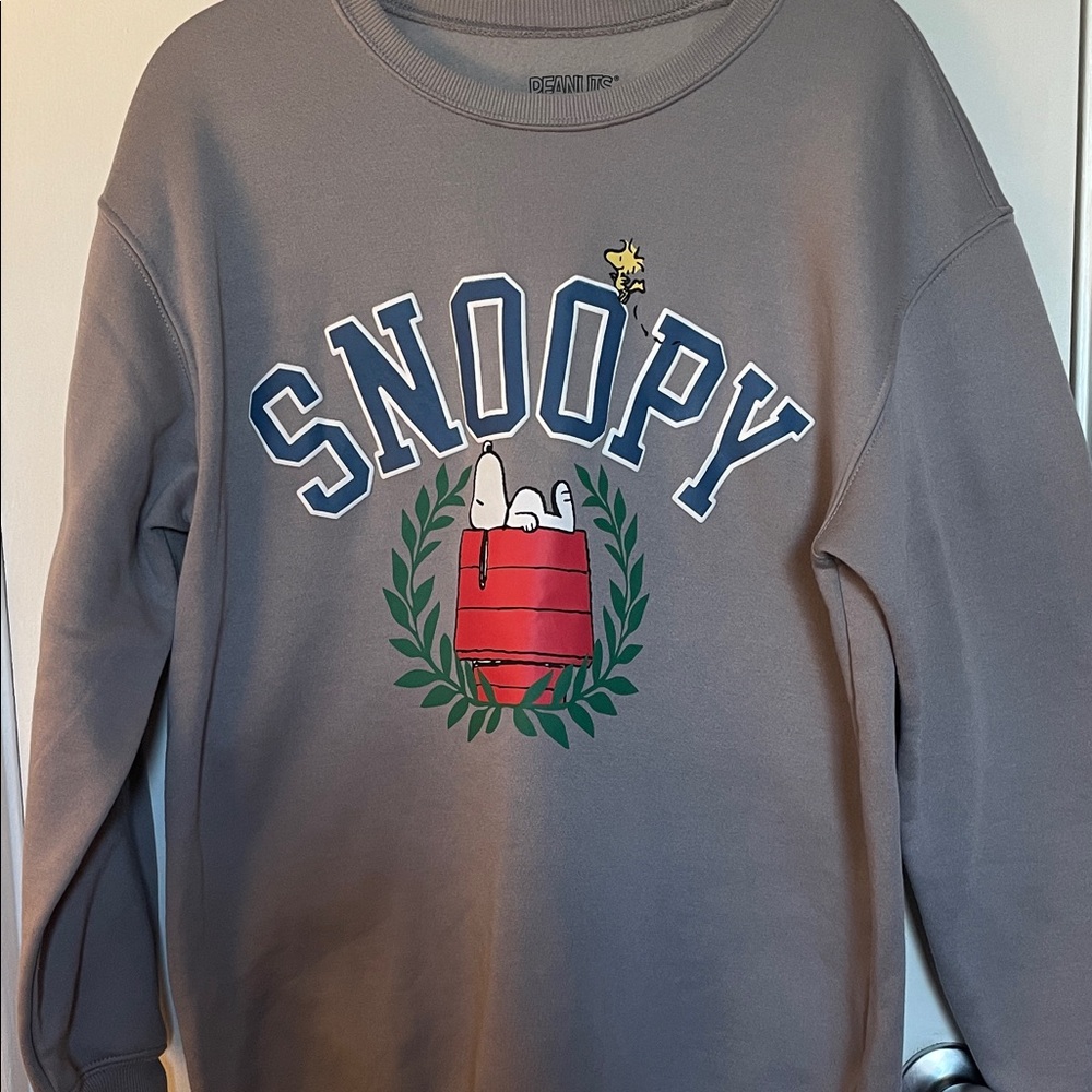 Peanut good/Snoppy  gray sweatshirt size large